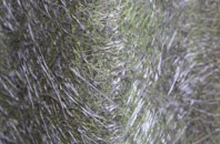 Seadyke fibreglass roof work